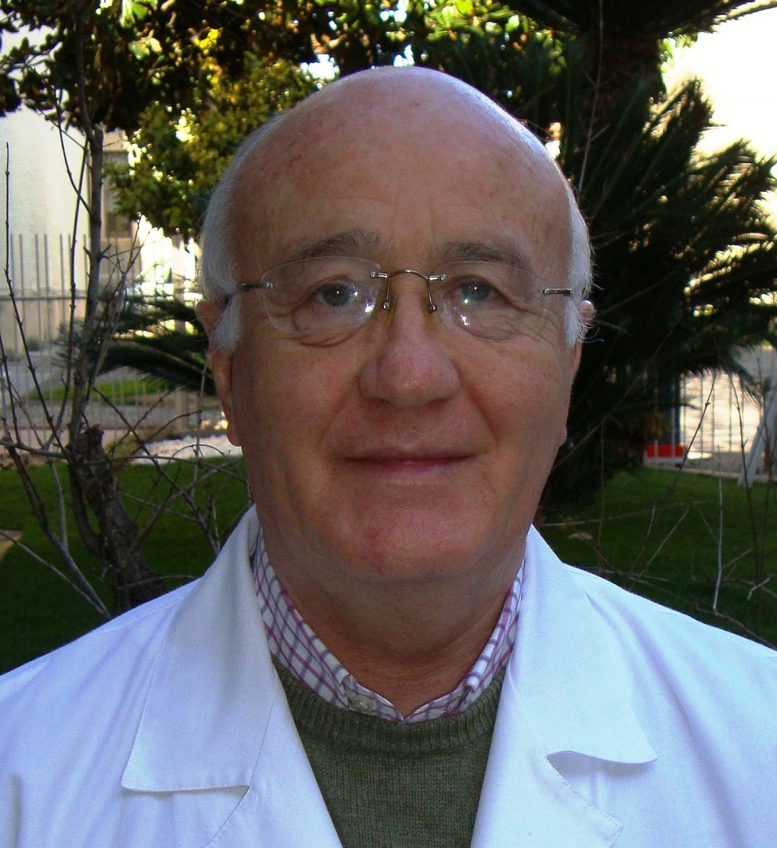 Ramon Martin Rodrigo